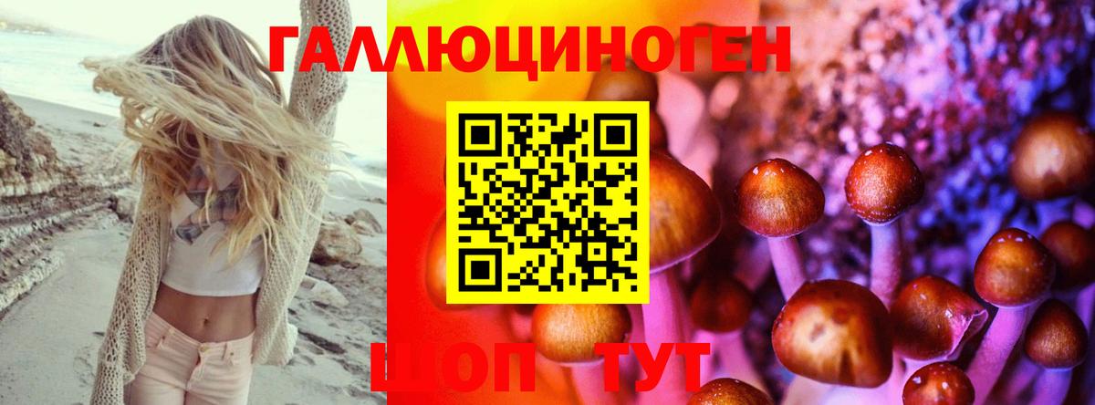 Нерюнгри  Псилоцибиновые грибы мухоморы  Вход с VPN 