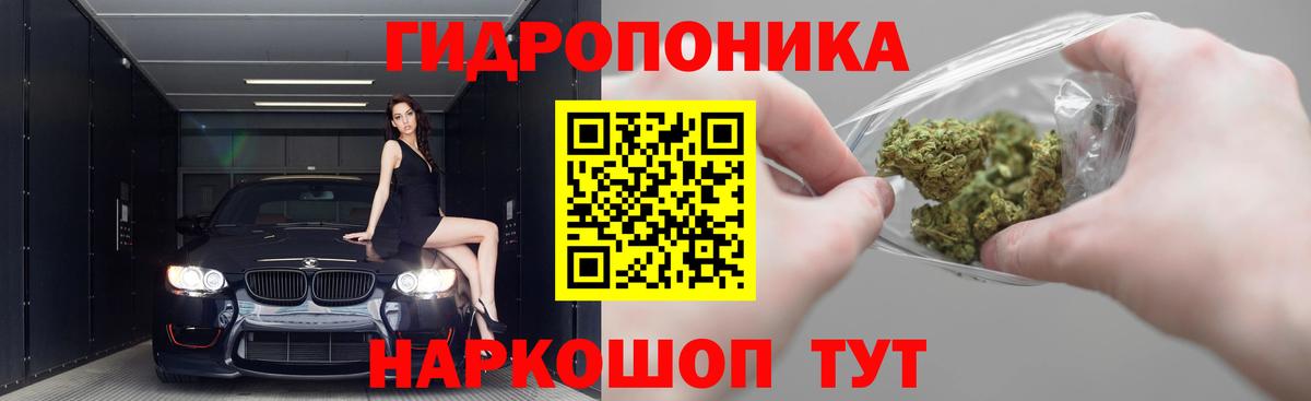МАРИХУАНА конопля Нерюнгри
